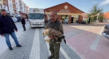Yozgat'ta köylüler tarafından bulunan Şah kartalı sağlık kontrolünden geçirildi