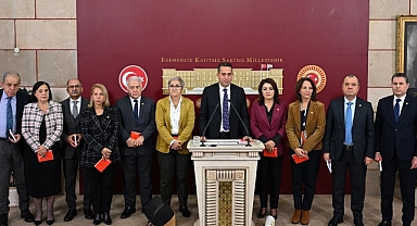 Ali Mahir Başarır: 