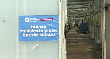Antalya Büyükşehir, kendi ürettiği çiçek ve bitkilerle yıllık 22 milyon lira tasarruf ediyor