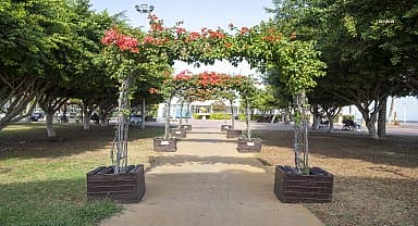 Büyükşehir ekipleri, daha yeşil bir Mersin için çalışıyor