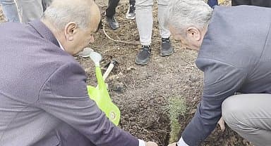CHP Bursa İl Örgütü Bursa'da eylül ayında yanan Göynüklü'de fidan dikti