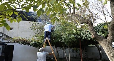 Çine'de Şehler Kıraathanesi açılıyor