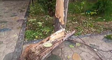 Çorum'da şiddetli fırtına ağaçları devirdi, çatıları uçurdu