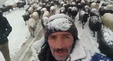 Dağ köylerine kar yağınca hayvanlarını otlatmak için başka köylere götüren Artvinli üretici: "Malum ot ve yem fiyatları yüksek olunca hayvanlarımızı dışarda otlatmak zorundayız. Vatandaşın durumu böyle"