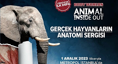 Dünyaca ünlü Body Worlds: Anımal Insıde Out Sergisi Türkiye'ye geliyor