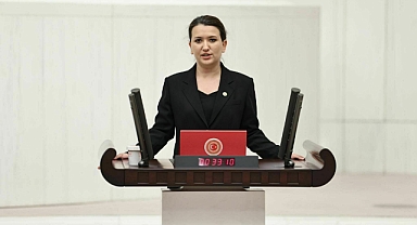 Gökçen’den Erdoğan’a ‘park’ cevabı: “En son parka gittiğimizde biraz rahatsız olmuştunuz, emin misiniz”