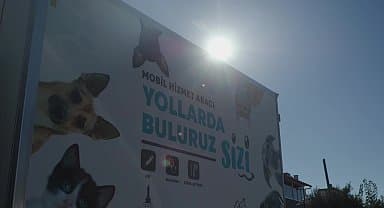İzmir'de 1 yılda 1600 hayvan mahallesinde kısırlaştırıldı