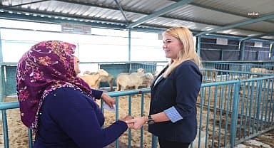 Merkezefendi Belediyesi, kadın üreticilere 3. Kez küçükbaş hayvan ve yem desteği sağladı