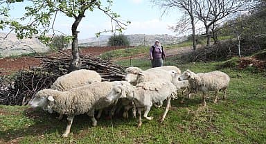 Merkezefendili kadın üreticilerin yüzünü güldüren destek