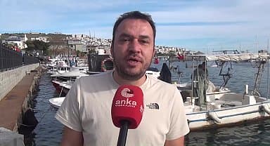 Sinop ormanlarında renk cümbüşü