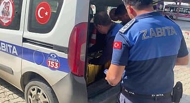 Tarsus'ta 350 litre sahte zeytinyağı ele geçirildi