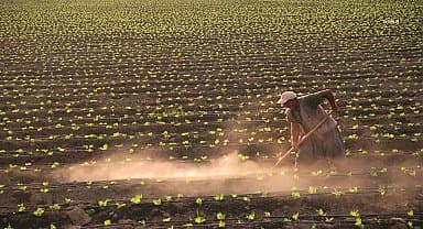 TÜİK: Tarımsal girdi fiyatları yıllık bazda yüzde 40,97 arttı