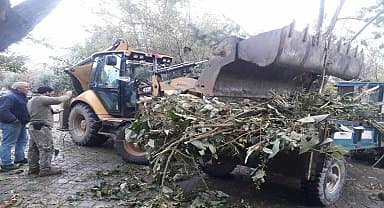 Turgutlu Belediyesi ekiplerinden devrilen ağaçlara anında müdahale