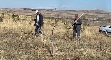 Yozgat'ın 'oksijen adamı' Abdullah Karataş, hatıra ormanlarına yenilerini ekliyor