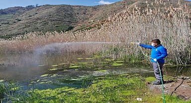 Antalya Büyükşehir vektörle mücadeleyi kışın da sürdürüyor
