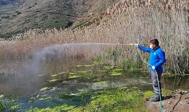 Antalya Büyükşehir vektörle mücadeleyi kışın da sürdürüyor