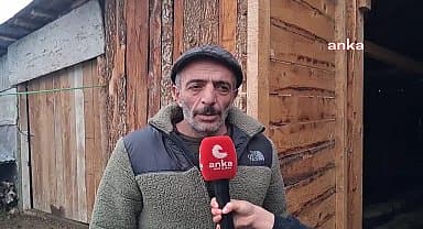 Artvinli besici: "Kendi köyümde olmadığı için ilçeye yakın yerde ahır kiraladım. 50 bin lira ahır parası ödüyorum"