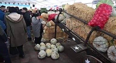 Bal kabağını esere dönüştüren dekoratör sanatçısı, Sürmeli Festivali Gastronomi Günleri'nde