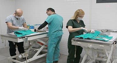 Bayraklı Belediyesi 4,5 yılda 19 bin 945 sokak hayvanına sağlık ve bakım hizmeti verdi
