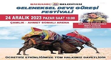 Bayramiç, Deve güreşlerine hazır