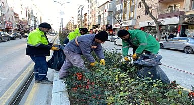Bozüyük'ün yeşil alanlarında bakım ve temizlik çalışmaları sürüyor