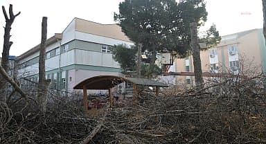 Çine Belediyesi'nde budama mesaisi devam ediyor