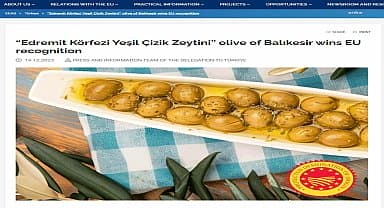 Edremit Körfezi yeşil çizik zeytini AB tarafından tanındı
