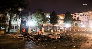 Eskişehir Büyükşehir'in çalışmasıyla ömrünü tamamlayan devrilme tehlikesi olan ağaçlar kaldırılıyor