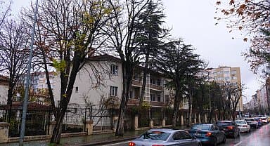 Eskişehir'de çürüyen ağaçlar kaldırılacak yerine Süs Kirazı ağaçları dikilecek