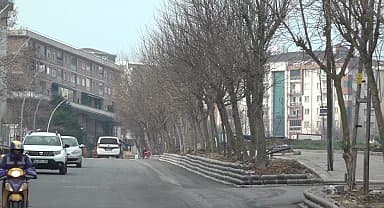 İstanbul Büyükçekmece'de 2024'e 24 mahallede ağaç dikilerek girildi