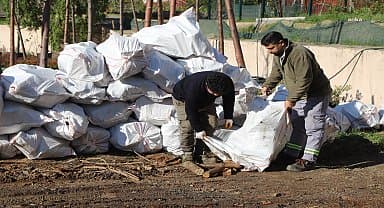 Kartal'da budanan ağaç dalları ihtiyaç sahiplerine yakacak oluyor
