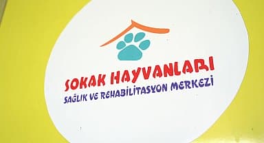 Konyaaltı'nda patili dostlar emin ellerde