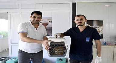 Kuşadası'nda minik patili can dostların sağlığı emin ellerde