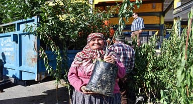 Mersin Büyükşehir'den Aydıncıklı ve Tarsuslu üreticilere badem fidanı desteği