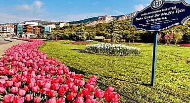 Muğla Büyükşehir yeşil alan miktarını il genelinde yüzde 92 artırdı