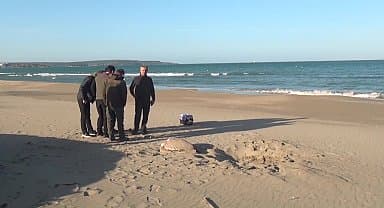 Sinop sahilinde nesli tükenmekte olan caretta caretta bulundu