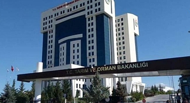 Tarım ve Orman Bakanlığı'na alınacak 7 bin 158 personel ile ilgili detayları açıklandı