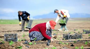 TÜİK: Üretici fiyatlarındaki yıllık fiyat artışı yüzde 42,25