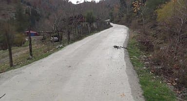Yerinde dönüşümle ev yapmak isteyen ancak yol olmadığı gerekçesiyle başvurusu reddedilen Kadirlili depremzede: "Burada 60 yıllık yol var. Burası yol değilse niye beton döküldü?"