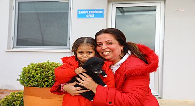 Antalya Büyükşehir'den can dostlara modern bakım ev hizmeti