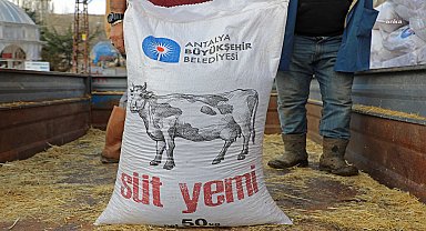 Antalya Büyükşehir üreticilere süt yemi desteğine başladı 