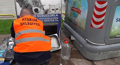 Atakum Belediyesi'nden patili dostlara sevgi ve mama dolu destek