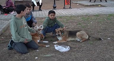 Atakum'da patili dostlar emin ellerde