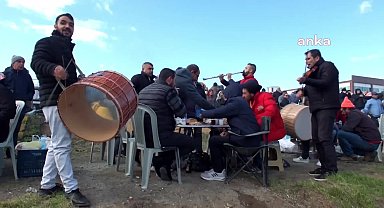 Burhaniye'de deve güreşini 20 bin kişi izledi