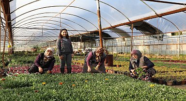 Büyükşehir destekliyor, Muğla üretiyor