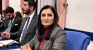 Dünyayı şok eden Epstein davası Meclis'e taşındı 