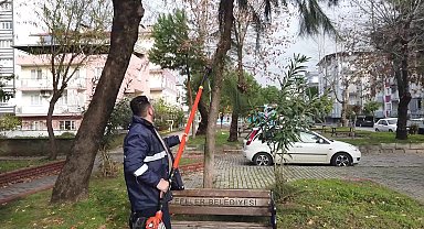 Efeler Belediyesi Ekipleri'nden kent estetiğine yönelik çalışmalar
