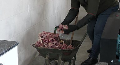 Esenyurt Belediyesi can dostları için mama üretiyor