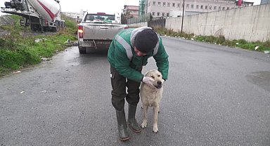 Esenyurt Belediyesi, can dostları unutmuyor