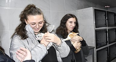 Kuşadası'nın patili sakinleri öğrencileri ağırladı